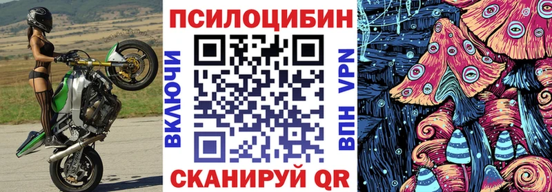 нарко площадка как зайти  omg вход  Кочубеевское  Галлюциногенные грибы Psilocybe 